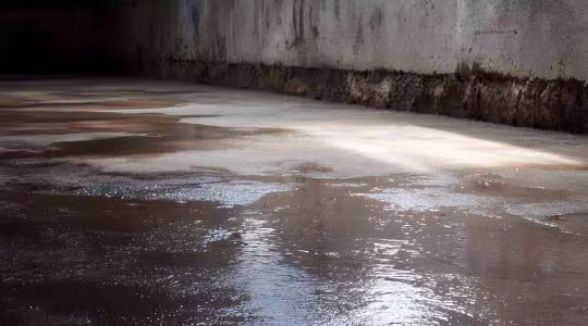 standing water on basement floor