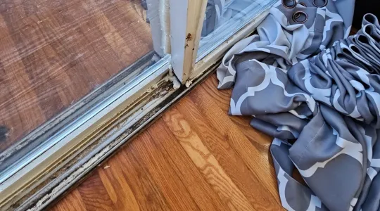 mold-dorm-room