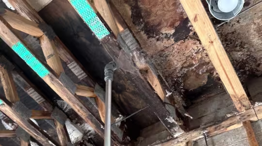 attic-water-damage-chicago