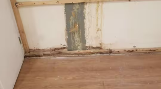 slab-leak-water-damage