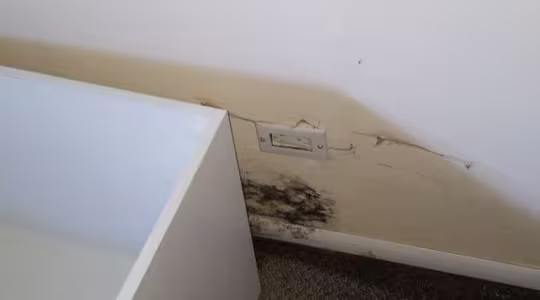 mold-in-workplace-2