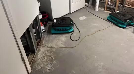 sewer-backs-up-what-to-do
