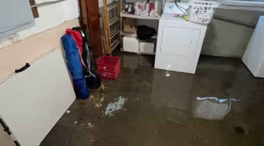 what-to-do-if-your-house-floods-in-palatine