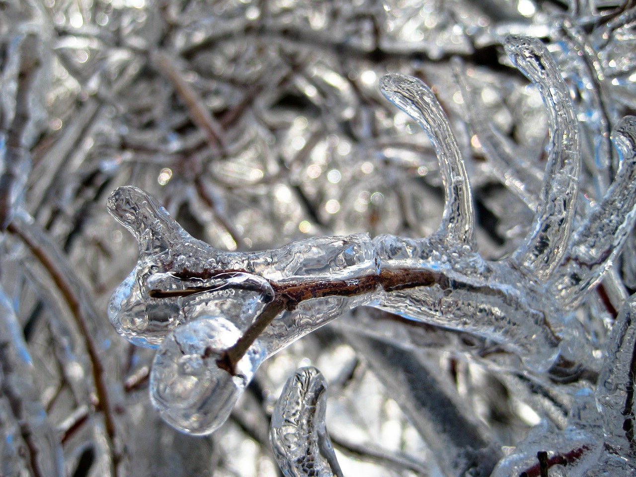 Freezing Rain: Why it's So Dangerous and How to Stay Safe